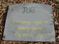 rikisten.jpg